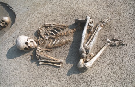 Click to zoom the picture.