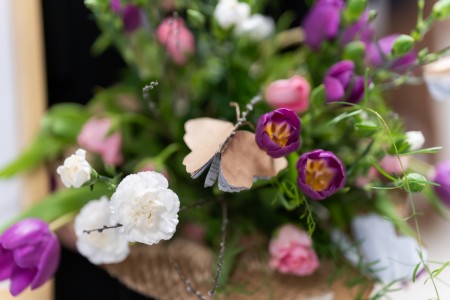 Dyplomatorium Kierunku Farmacja 2026. Kliknij, aby powiększyć zdjęcie.