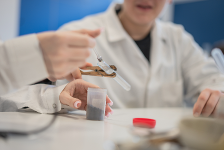 Warsztaty na Wydziale Chemii UMK [fot. Krzysztof Fabisiak]