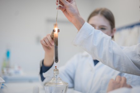 Warsztaty na Wydziale Chemii UMK [fot. Krzysztof Fabisiak]