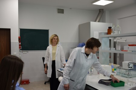 Kliknij, aby powiększyć zdjęcie.