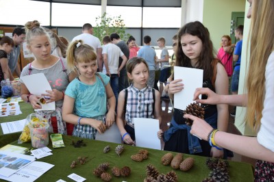 Fascynujący Dzień Roślin 