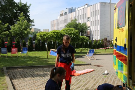 Kliknij, aby powiększyć zdjęcie.