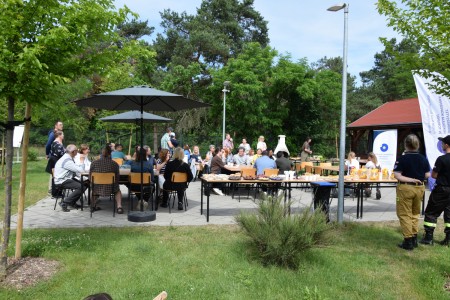 Kliknij, aby powiększyć zdjęcie.