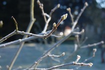 2016.03.24 Wiosna w Centrum Astronomii [fot. Anna Folborska]