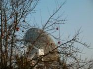 2014.12.15 Jesień w Centrum Astronomii [fot. Anna Folborska]