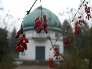 2014.12.15 Jesień w Centrum Astronomii [fot. Anna Folborska]