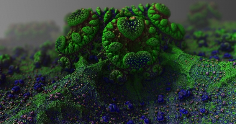 Zdjęcie ilustracyjne