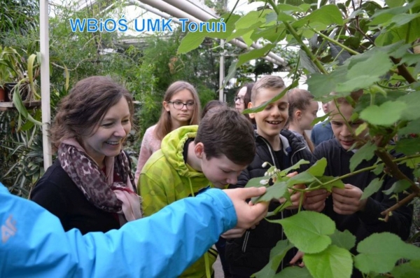 Zdjęcie ilustracyjne