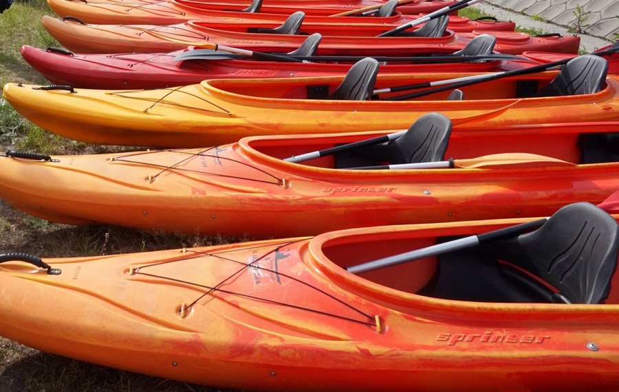 Zdjęcie ilustracyjne