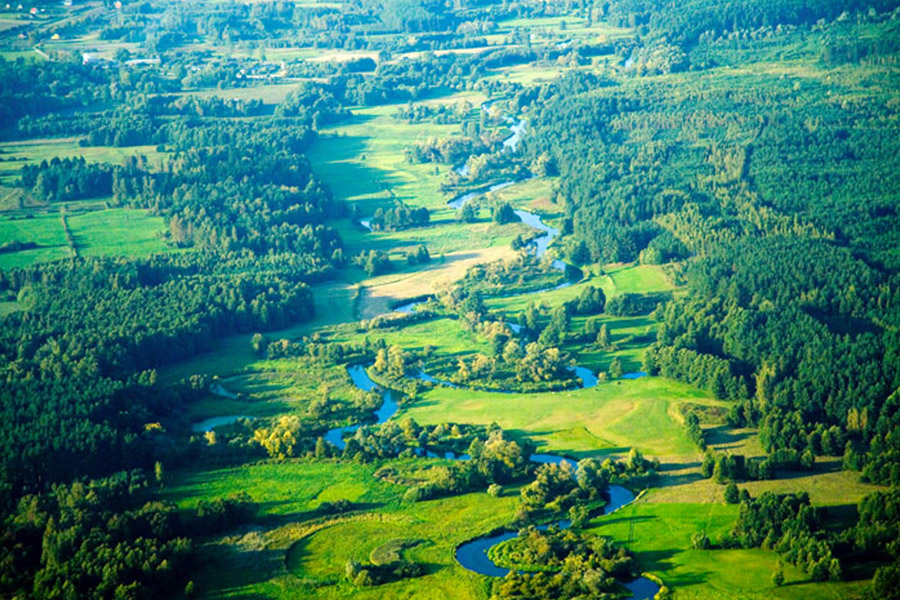 Zdjęcie ilustracyjne