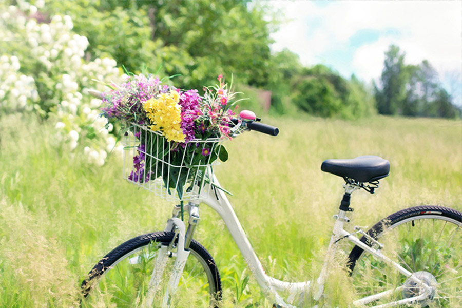 Zdjęcie ilustracyjne