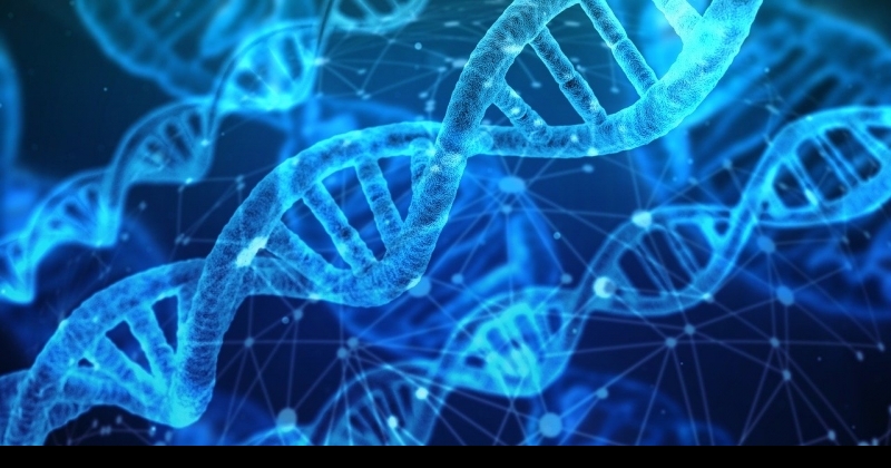 Zdjęcie ilustracyjne