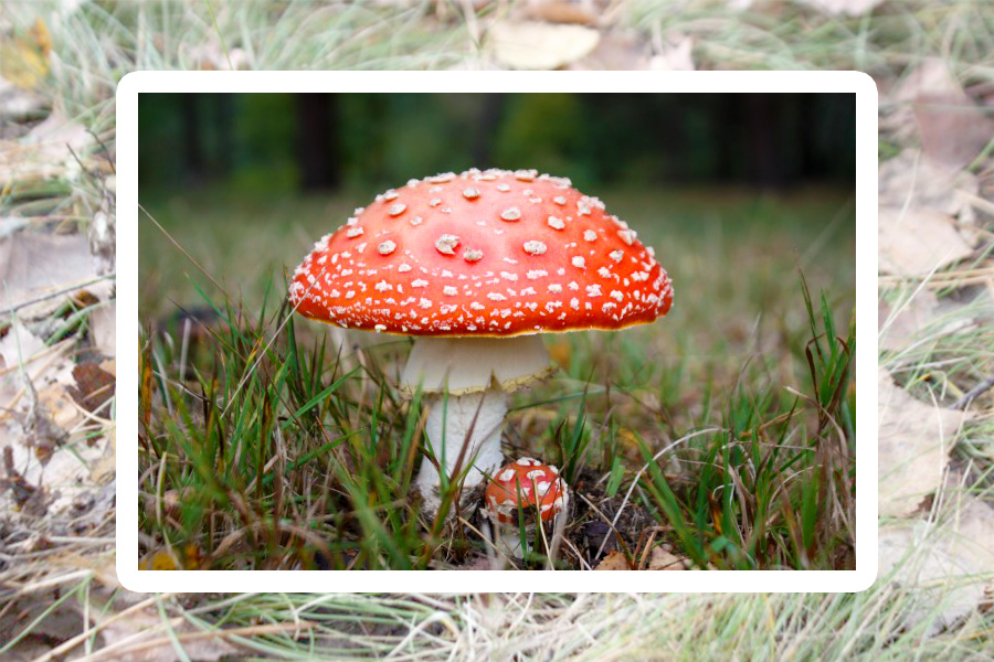 Zdjęcie ilustracyjne