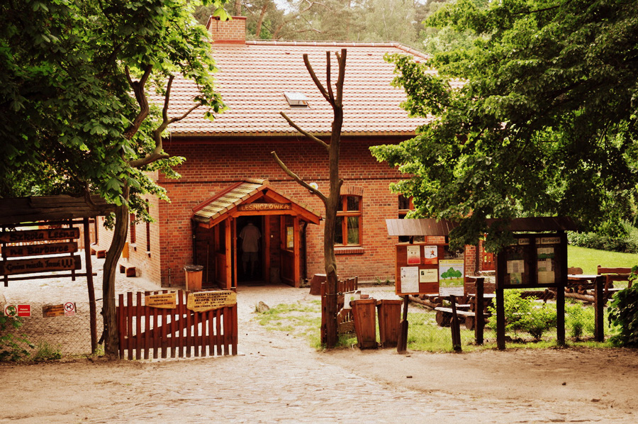 Zdjęcie ilustracyjne