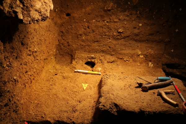 Zdjęcie ilustracyjne