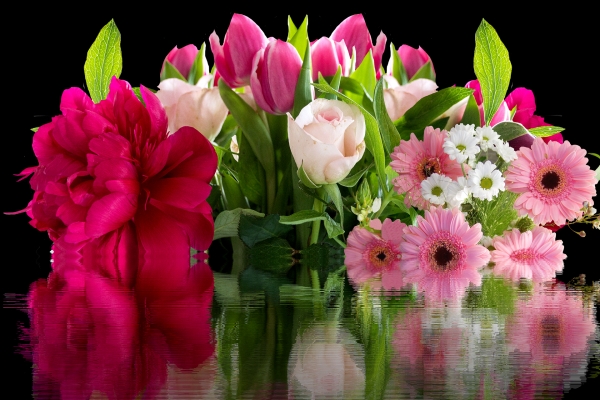 Zdjęcie ilustracyjne