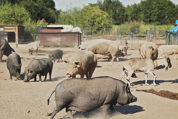 Zdjęcie ilustracyjne