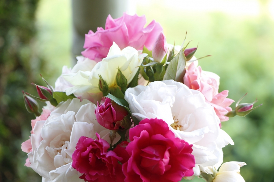 Zdjęcie ilustracyjne