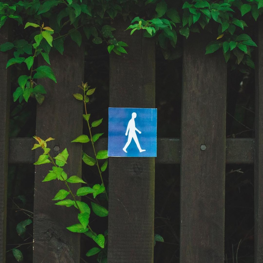 Zdjęcie ilustracyjne