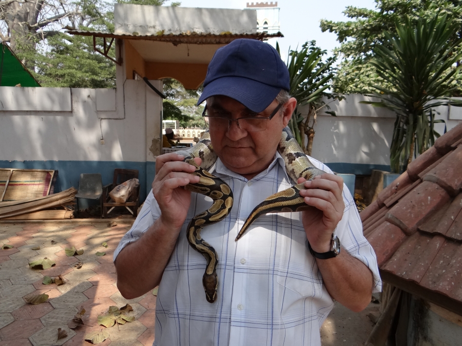 Zdjęcie ilustracyjne