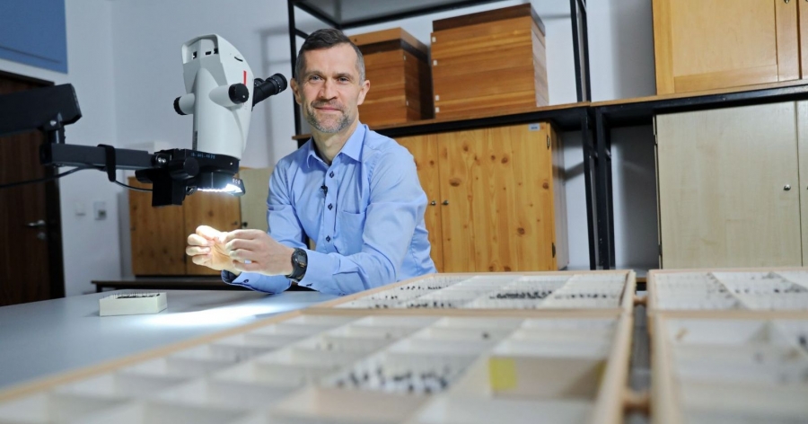 Prof. dr hab. Krzysztof Szpila z Wydziału Nauk Biologicznych i Weterynaryjnych UMK siedzi przy mikroskopie i pojemnikach z owadami
