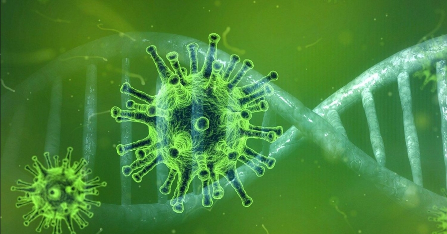 grafika przedstawiająca wirusa