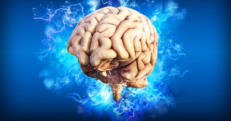 obrazek wiadomości: Mózg, umysł, uczenie się