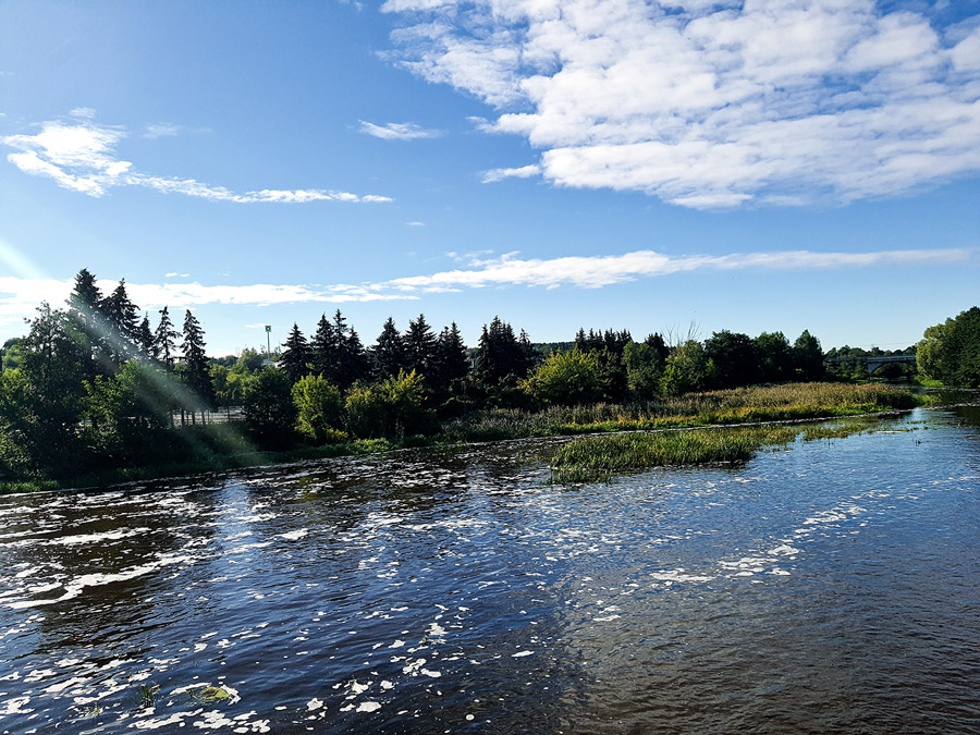na zdjęciu rzeka Drwęca