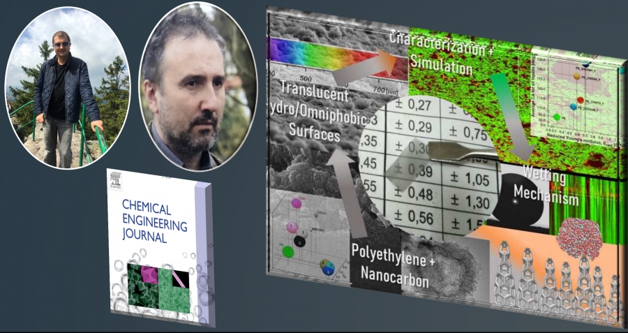 Abstrakt graficzny artykułu. Kolaż rycin z artykułu i zdjęć autorów