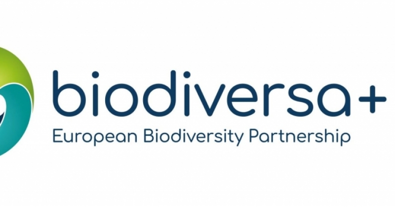 Logo projektu Biodiversa