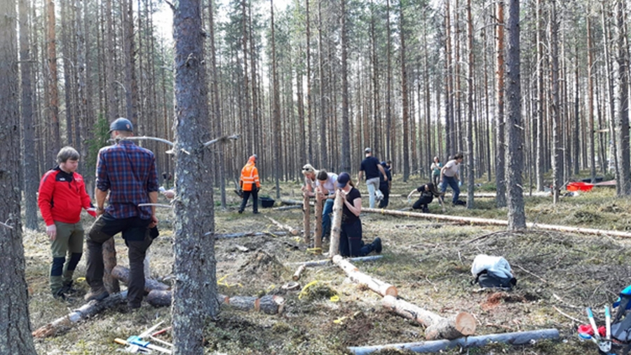 Zdjęcie z praktycznej części kursu. Uczestnicy w lesie analizują drzewa.