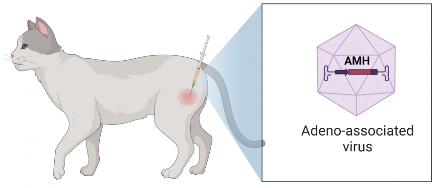 Zdjęcie ilustracyjne