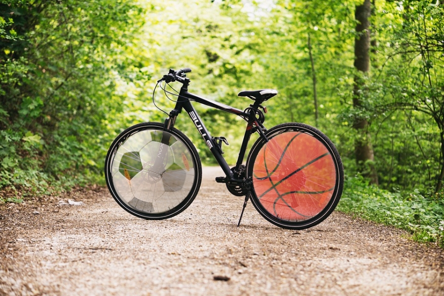 na zdjęciu rower w lesie