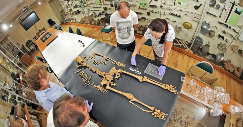 Naukowcy stoją nad odnalezionym w Pniu szkieletem kobiety ze ściętym ramieniem. Szkielet został rozłożony na czarnej materii wśród gablot z rekwizytami w Instytucie Archeologii UMK.