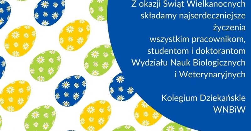 Wektorowe jajka w kolorze niebieskim i żółtym ze wzorkiem z rumianków na wierzchu, ułożone od prawego górnego rogu do lewego dolnego. W prawym życzenia na dużym niebieskim fragmencie jajka