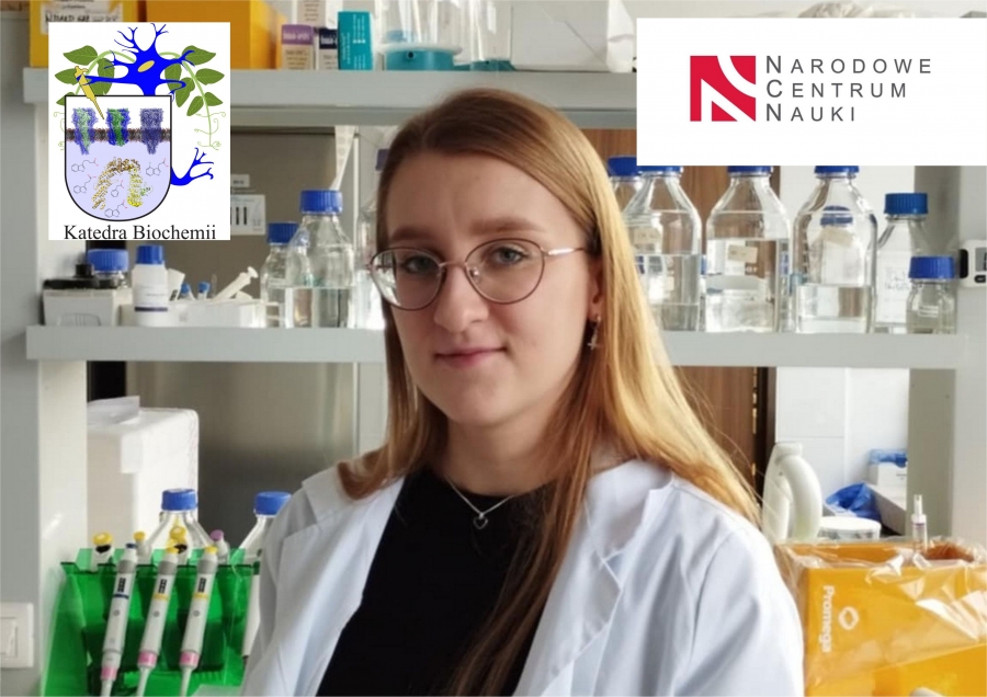 Zdjęcie ilustracyjne