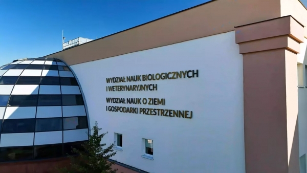 Zdjęcie ilustracyjne