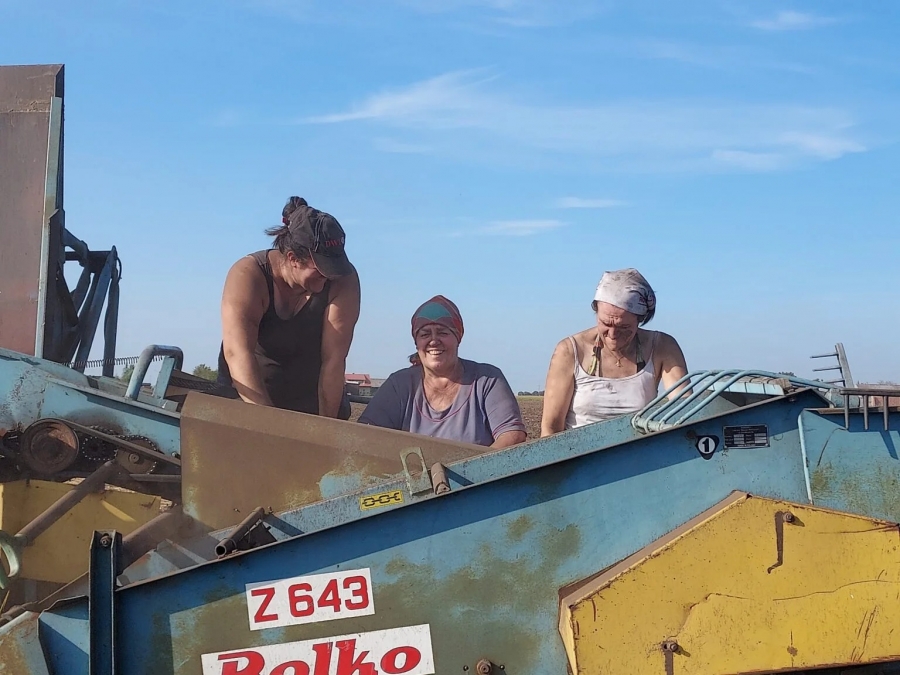 na zdjęciu 3 kobiety