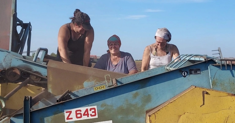 na zdjęciu 3 kobiety