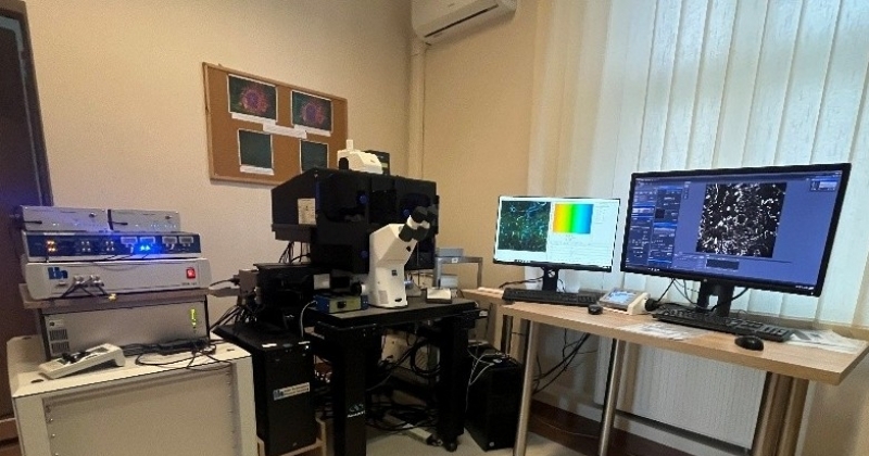 Zdjęcie ilustracyjne