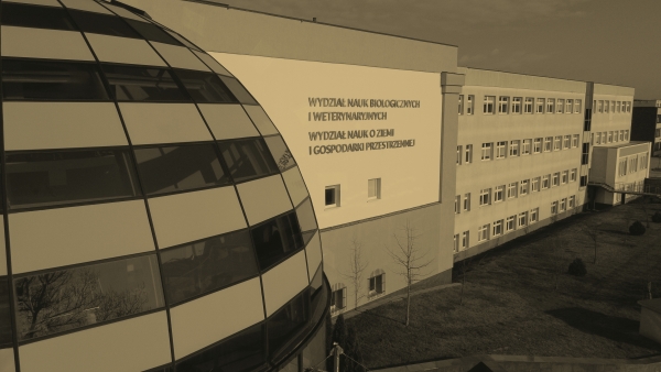 Zdjęcie ilustracyjne