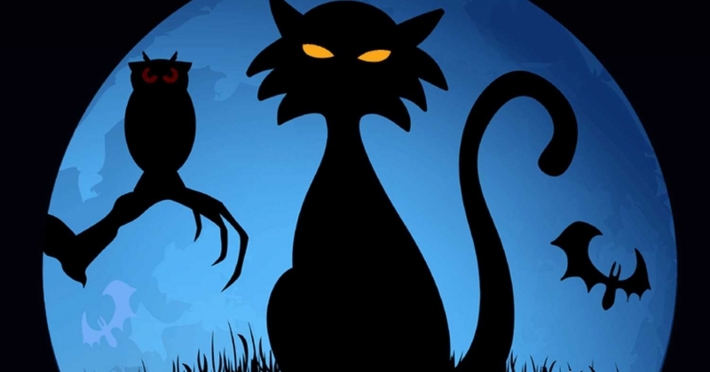 Trochę straszny obrazek z kotem, sową i nietoperzem .