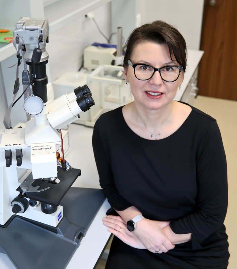 Zdjęcie ilustracyjne