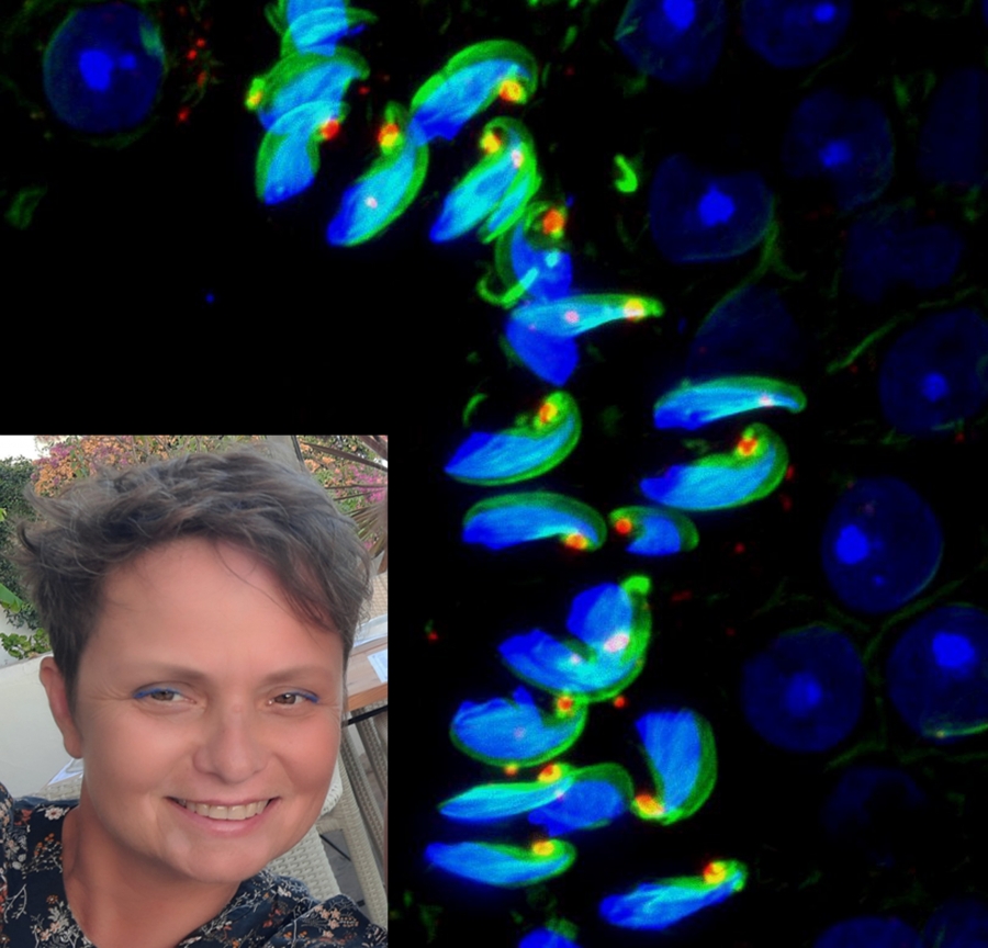 Zdjęcie ilustracyjne