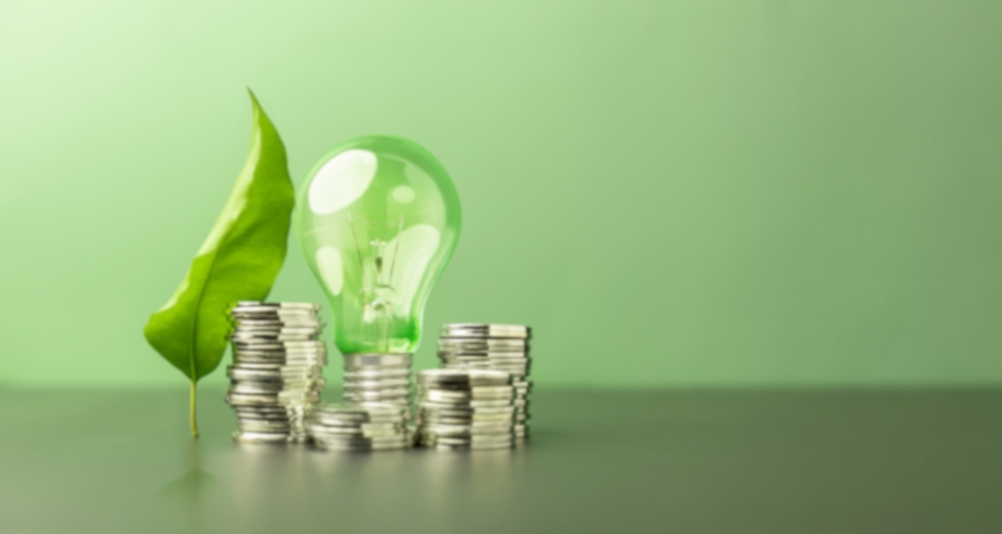 Liść, żarówka i monety