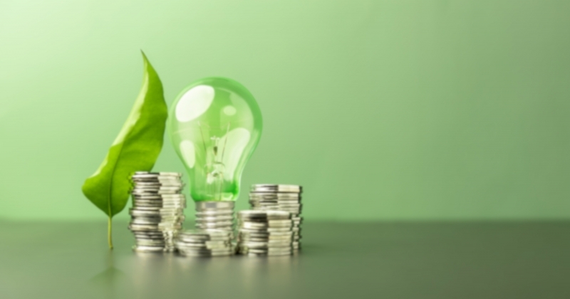 Liść, żarówka i monety