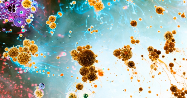 Zdjęcie ilustracyjne