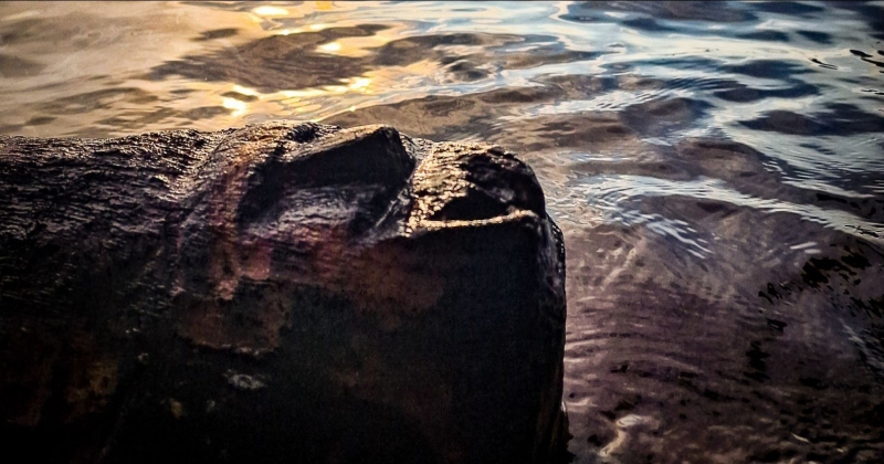 Close-up of a face carved in wood emerging from the twilight of the lake