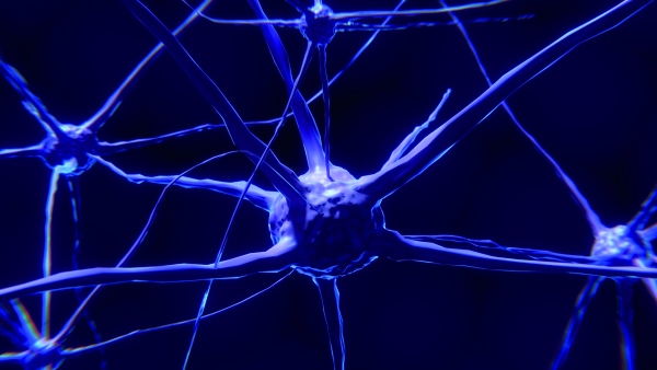 Zdjęcie ilustracyjne